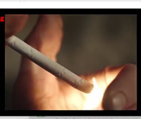 Agency Protection System