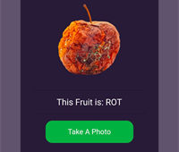 FRUIT DEFECTION CLASSIFICATION