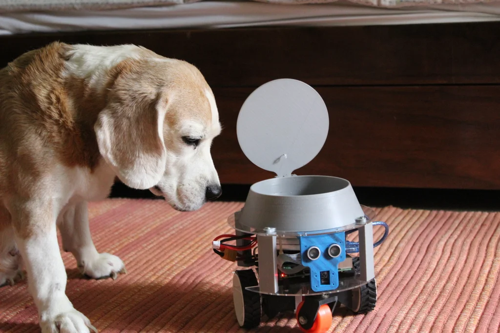 Pet Daycare Robot
