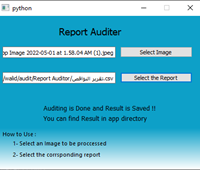 Report Auditor using Artificial Intelligence