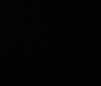 car monitoring system