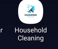 Household Cleaning