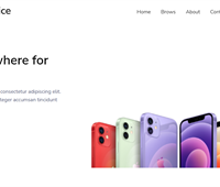 integrative choice for smart phone online shop 