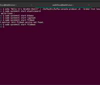 Real-Time Bus Transportation System