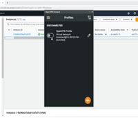 Virtual network assistant
